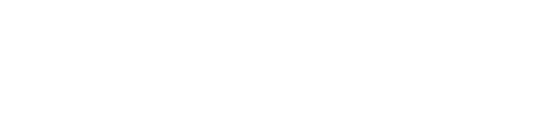 Goose FL Logo